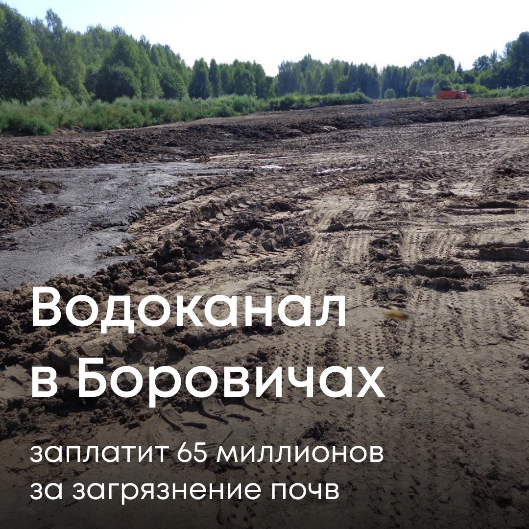Арбитражный суд Новгородской области взыскал с МУП «Боровичский ВОДОКАНАЛ» более 65 млн рублей за загрязнение почв в поселке Волгино. Решение принято по иску Северо-Западного межрегионального управления Росприроднадзора. История началась летом 2023 года, когда местные жители пожаловались на экологическую обстановку в поселке. Они сообщили, что с территории очистных сооружений на почву сбрасывают загрязняющие вещества. Росприроднадзор провел внеплановую проверку и подтвердил опасения жителей. Инспекторы обнаружили, что с биологических очистных сооружений на землю сливают иловый осадок. Лабораторные анализы показали стократные превышения загрязняющих веществ по ряду показателей. Площадь загрязнения превысила тысячу квадратных метров. Ведомство рассчитало ущерб по утвержденным методикам и предложило водоканалу добровольно возместить вред. Предприятие отказалось, и дело дошло до суда. В ходе разбирательства выяснилось, что водоканал провел частичную рекультивацию земель на 8,5 млн рублей. Суд зачел эти работы, но обязал предприятие доплатить еще 65 млн рублей.