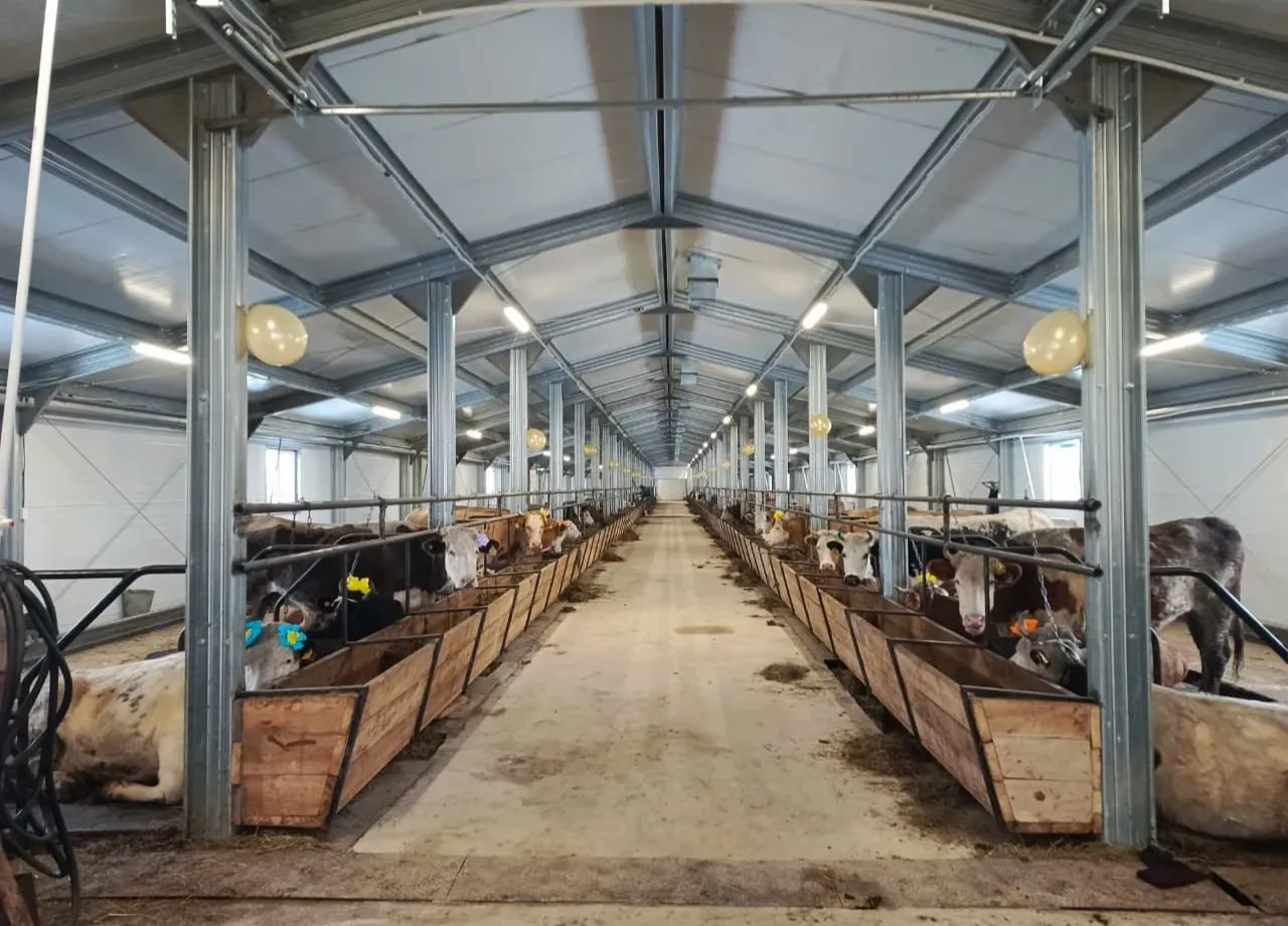 Более 60 новых сельхозобъектов построили в Якутии в 2025 году В 2025 году в Якутии построили и модернизировали свыше 60 объектов агропромышленного комплекса Из них 53 объекта были возведены в рамках расширения полномочий органов местного самоуправления Подробнее читайте по ссылке Фото взято с сайта sakha gov ru yk24 ru в MAX Telegram ВК VK Видео