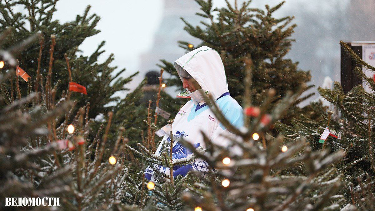 Импорт живых новогодних елок снижается не более 150 тыс деревьев против 220 тыс в прошлом году Такой оценкой поделился с Ведомостями Россельхозбанк Основными поставщики импортных деревьев являются Польша Белоруссия Казахстан Германия Латвия Сербия Нидерланды и Дания Всего к праздникам будет в продаже порядка 500 тыс живых хвойных деревьев из которых 70 отечественного происхождения Подпишитесь на Ведомости