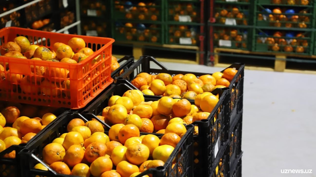 Импорт мандаринов и ананасов из Китая разрешён до 5 февраля Агентство по карантину Партии мандаринов и ананасов ввозимые из Китая будут проходить фитосанитарный контроль из грузов отберут образцы которые проверят на соответствие действующим карантинным требованиям uznews uz ru news 106984 uznews