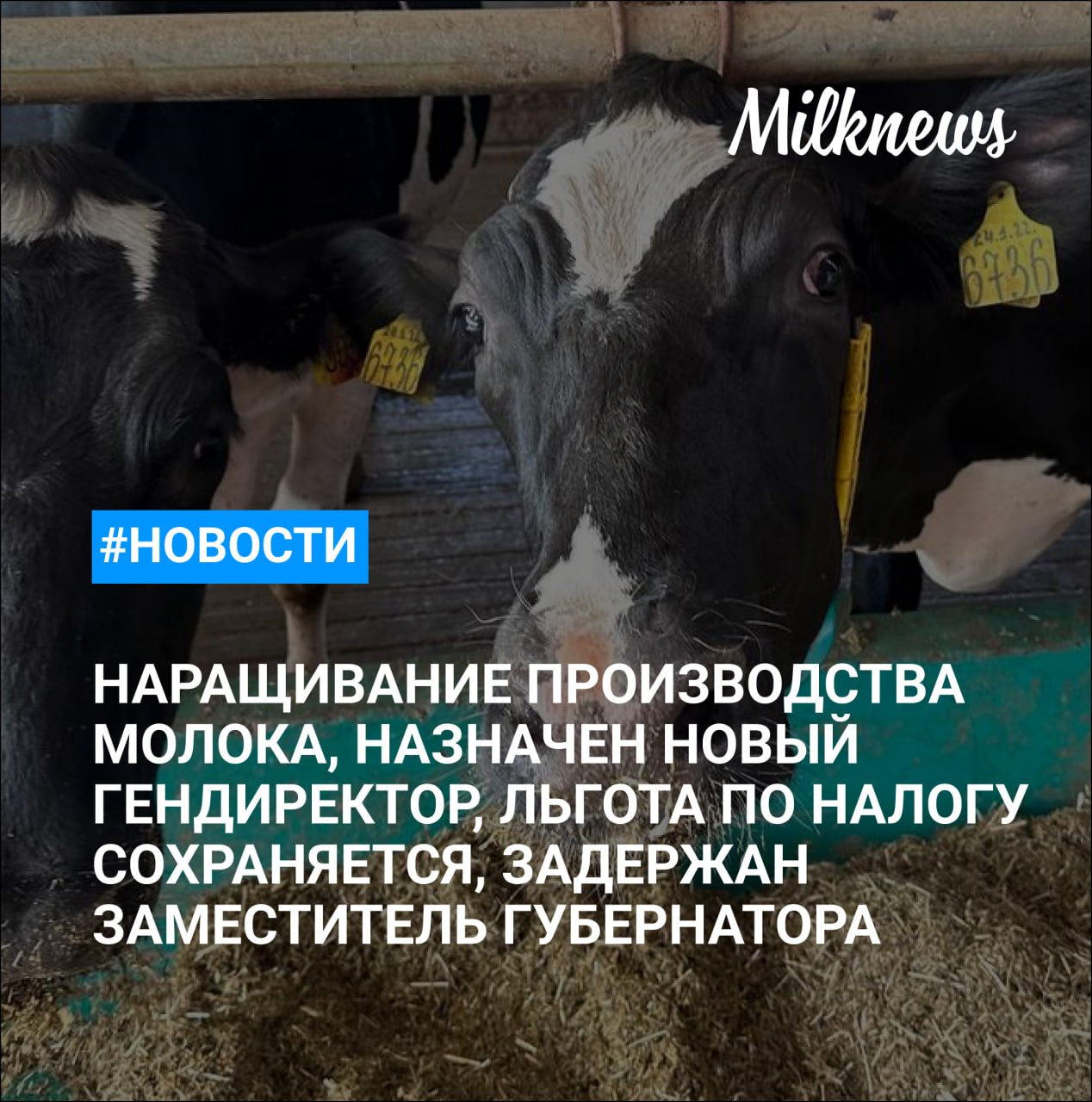 Ставропольский край в 2024 году нарастил производство молока на 1,3%    Роман Рыбаков назначен новым генеральным директором АО «Прогресс»    Минсельхоз: льгота по налогу на прибыль для сельхозпроизводителей России сохраняется    В России рентабельность сельского хозяйства составила 18% в 2024 году    Задержан заместитель губернатора и министр сельского хозяйства Ростовской области Константин Рачаловский