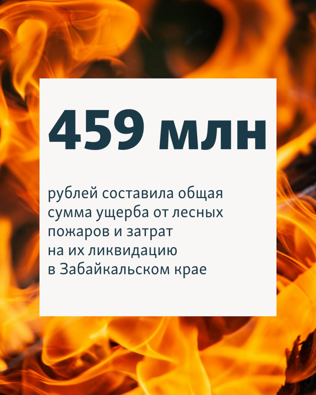В Забайкальском крае ущерб от лесных пожаров достиг почти полумиллиарда рублей Общая сумма ущерба от лесных пожаров и затрат на их ликвидацию составила 459 миллионов рублей, отчитались в Минприроды края. Власти направили в прокуратуры районов иски о взыскании денег с виновников пожаров. Взыскивать деньги чиновники будут принудительно. С начала 2025 года установлено около 100 виновников в возникновении пожаров, сообщили в ведомстве. В Забайкальском крае с апреля введет федеральный режим ЧС. Авиалесохрана отчиталась, что в регионе тушат 35 лесных пожаров на площади более 674 тысячи гектаров.