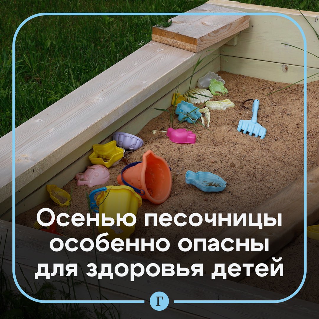 Осенью песочницы превращаются в скрытую угрозу для здоровья детей Все из за того что влажная и прохладная погода создает идеальные условия для сохранения и размножения гельминтов в песке сообщила Газете Ru кандидат фармацевтических наук Мария Золотарева В осенний период в уличных песочницах значительно увеличивается концентрация яиц гельминтов включая аскарид и токсокар которые способны выдерживать морозы до минус 20 градусов отметила эксперт По ее словам особую опасность представляют токсокары паразиты личинки которых могут мигрировать в организме человека поражая внутренние органы и глаза Песок в детских площадках также может содержать условно патогенные бактерии которые способны сохранять активность в течение нескольких месяцев Читайте Газету Ru в MAX Участвуйте в розыгрыше