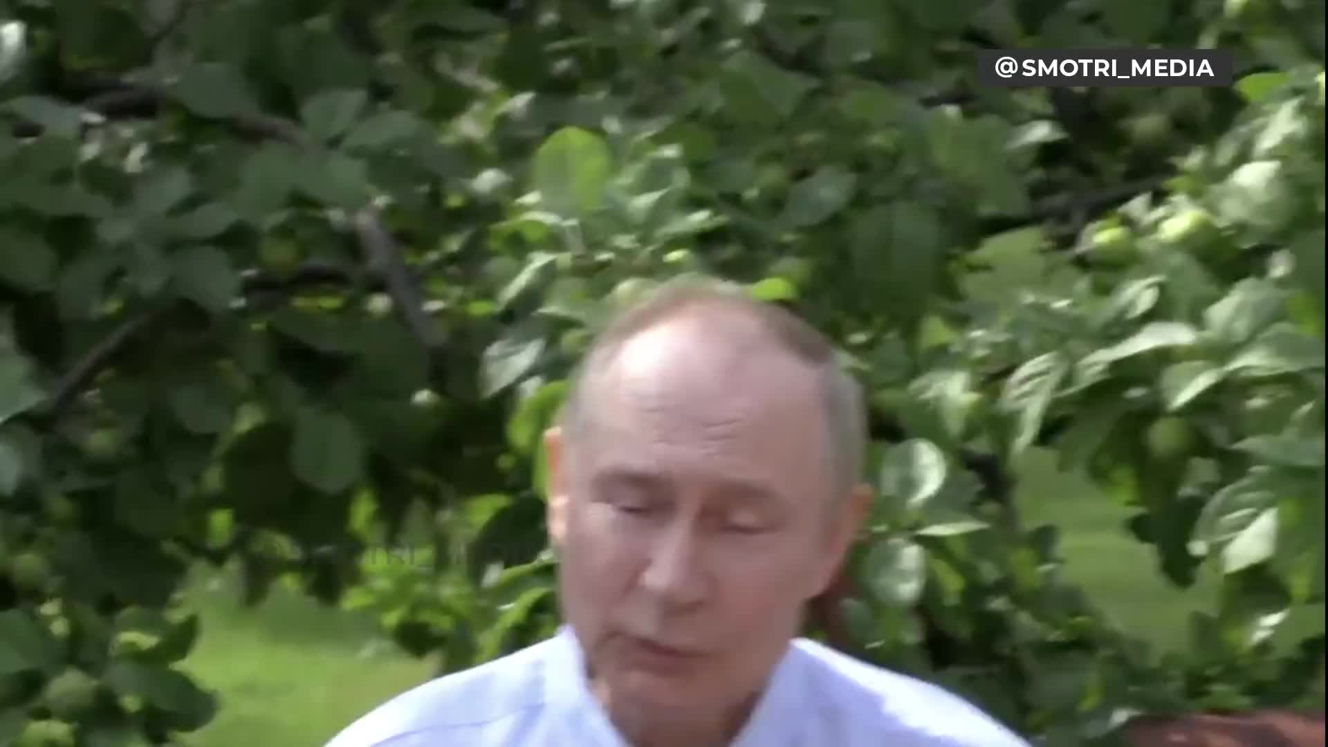 Путин: Европейский Союз утратил суверенитет
