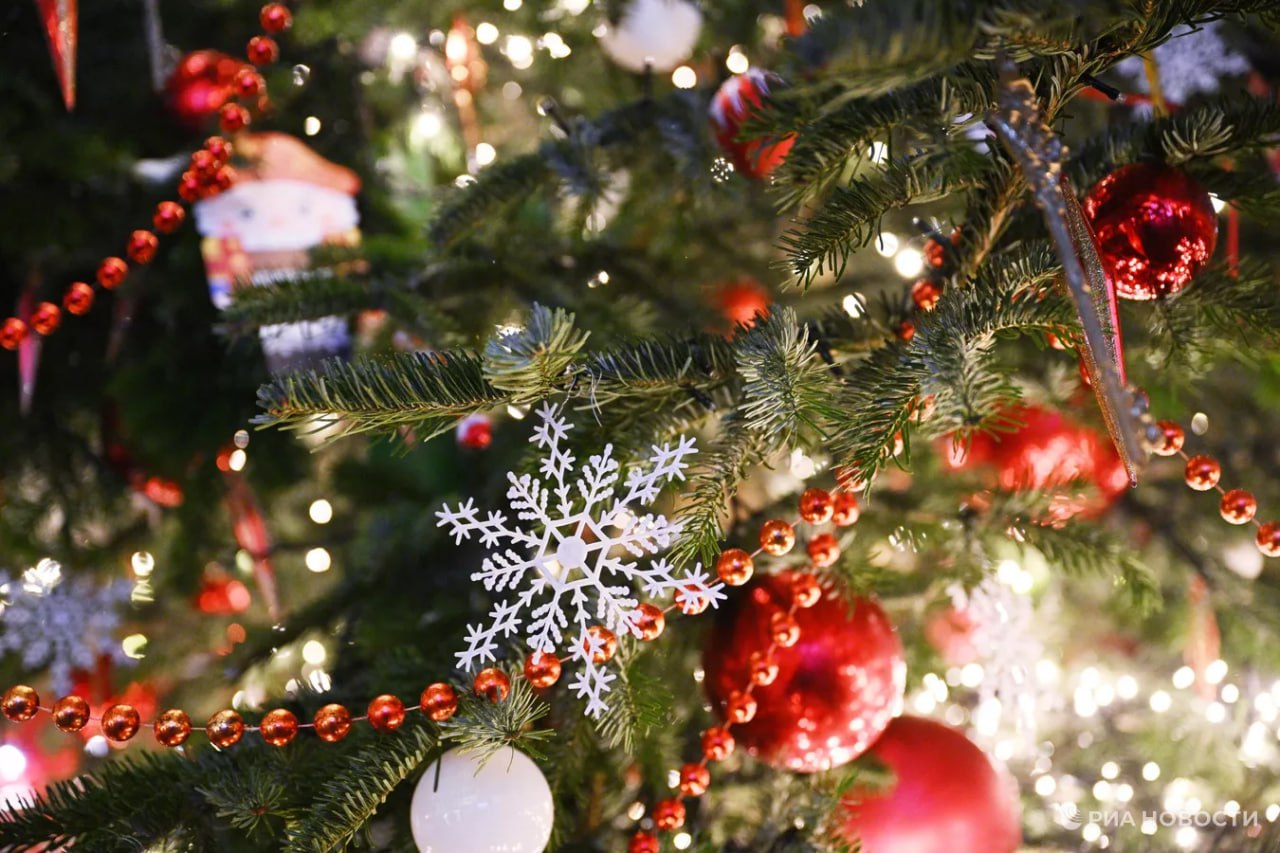 Ozon сократил срок возврата некоторых новогодних товаров до 7 дней рассказали РИА Новости в пресс службе компании В частности речь идет об искусственных елках и украшениях для них а также гирляндах Другие маркетплейсы не меняли сроки возврата товаров Так на Wildberries этот период составляет 14 дней а на Яндекс Маркете 7 дней При этом площадки не ожидают увеличения числа возвратов товаров из за праздников Подписаться на РИА Новости экономика Все наши каналы