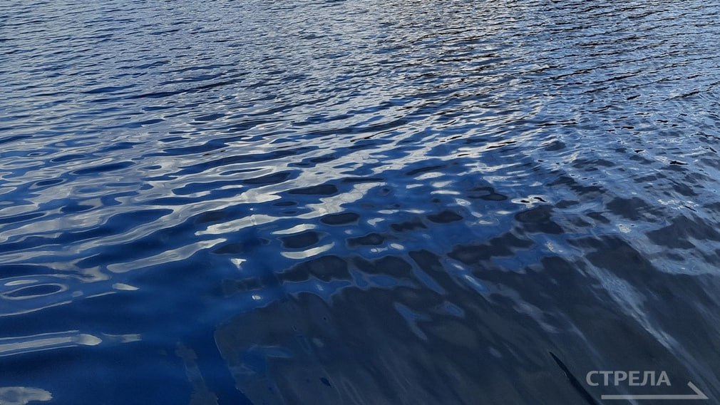 В Почепском районе Брянщины случилась трагедия на водном объекте. Сообщение об этом сегодня, 28 июля, поступило в оперативную дежурную смену брянских спасателей. Водолазами Брянского пожарно-спасательного центра из озера было поднято тело утонувшего мужчины. Обстоятельства и причина гибели устанавливаются. МЧС призывает жителей региона соблюдать осторожность при нахождении на побережьях водоемов и в воде. Фото: РИА Стрела архив