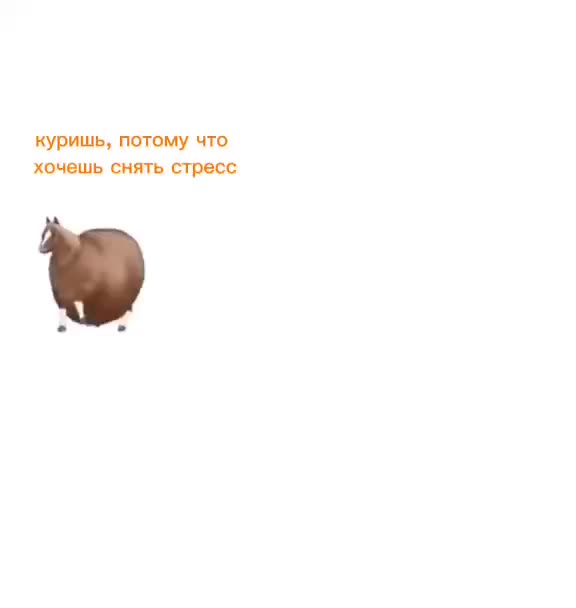Курительная зона в Пулково возобновила работу после временного закрытия