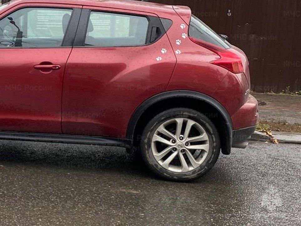 15 летний подросток попал под колеса машины возле отдела полиции 15 летний подросток утром 7 ноября был доставлен в больницу с травмами разной степени тяжести после ДТП которое произошло на Тульской улице Как сообщили в Госавтоинспекции подростка сбил Nissan Juke когда он переходил дорогу Это произошло у здания отдела полиции 1 УМВД России по Калуге Пешеходный переход находится не более чем в 50 метрах от места аварии