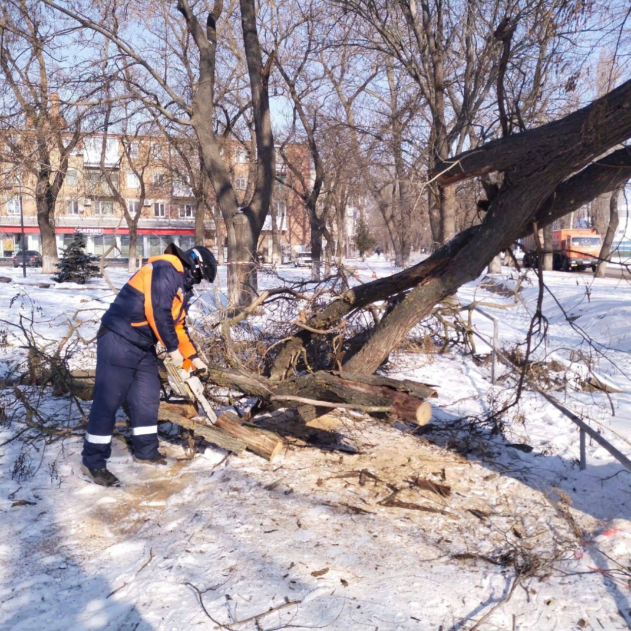 Сегодня подразделение службы спасения города Ейска ликвидировало аварийное дерево на территории сквера по ул. Нижнесадовой.