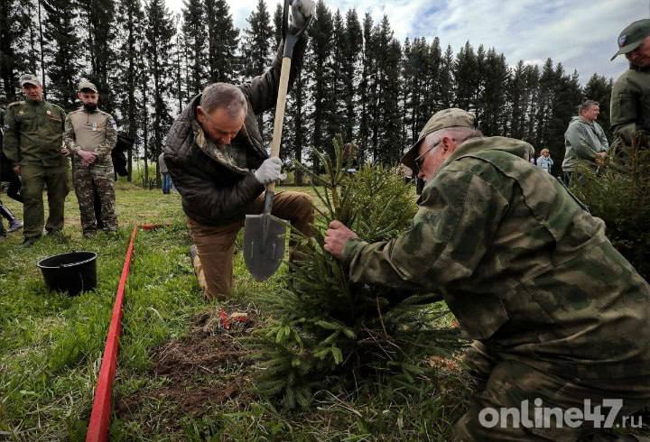 В Ленобласти 4027 человек приняли участие в акциях «Сад памяти» в 2025 году Всего высажено 212 146 деревьев. Соответствующий отчёт об экологических инициативах Ленобласть представила в Рослесхоз. «Наши жители всегда активно откликаются на экологические акции. Такие мероприятия не только помогают восстановить леса, но и объединяют людей вокруг важных ценностей, формируя ответственное отношение к природе. В прошлом году область вошла в число лидеров в России по проведению осенней общественной акции по посадке леса. Ждем этого года», — рассказал председатель комитета по природным ресурсам Ленобласти Фёдор Стулов. В преддверии Дня Победы экологические акции «Сад памяти» прошли во всех районах области, в том числе создан геоглиф «ПОБЕДА». Online47 — Всё о Ленобласти и не только