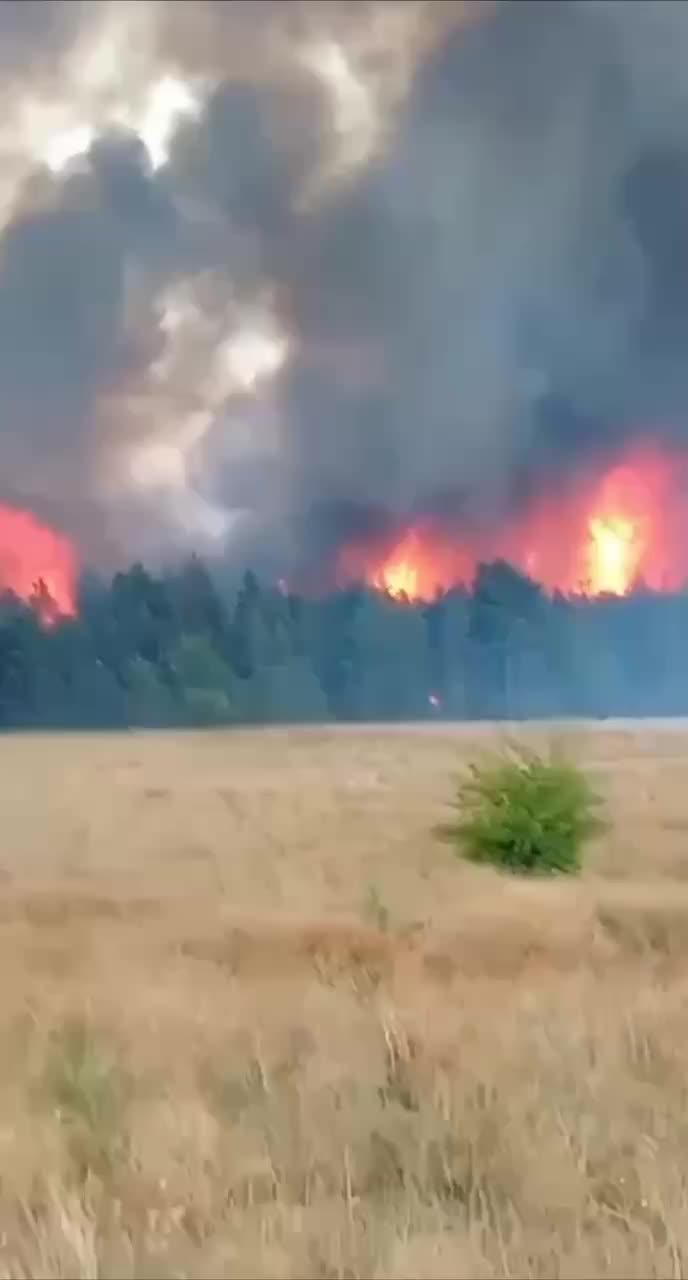 Крупный ландшафтный пожар в Каменском районе: на помощь вылетел вертолет Ми-8