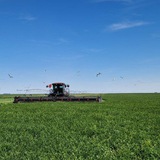 Аватар Телеграм канала: Минсельхоз Алтайского края