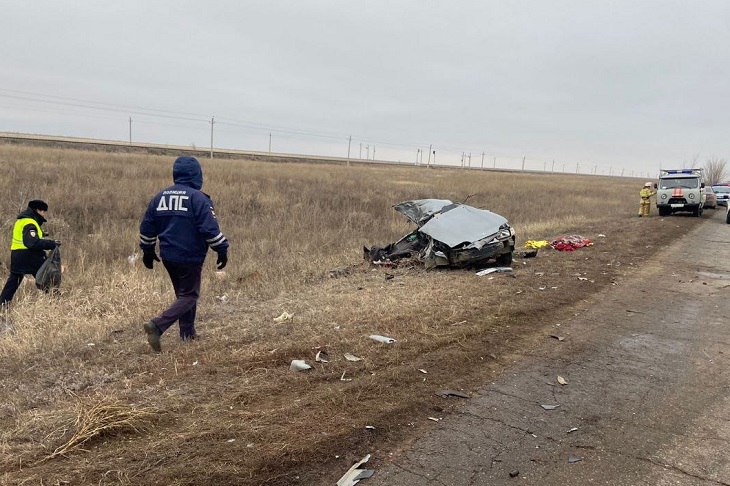 Прокуратура Волгоградской области взяла на контроль ход проверки по факту дорожно-транспортного происшествия на трассе в Старополтавском районе, где погибли двое человек. Как сообщили V102.RU в пресс-службе региональной прокуратуры, трагедия случилась сегодня днем на 88-м километре трассы Старая Полтавка – Палласовка.  Известно, что на участке трассы автомобиль «ВАЗ – 2114» столкнулся с грузовым автомобилем Freightliner. В результате аварии от полученных травм на месте происшествия погибли 25-летняя девушка - водитель «ВАЗ – 2114», а также 32-летний пассажир легкового автомобиля.  - Законность принятого по результатам процессуальной проверки решения будет проверена прокуратурой, - добавили в ведомстве.