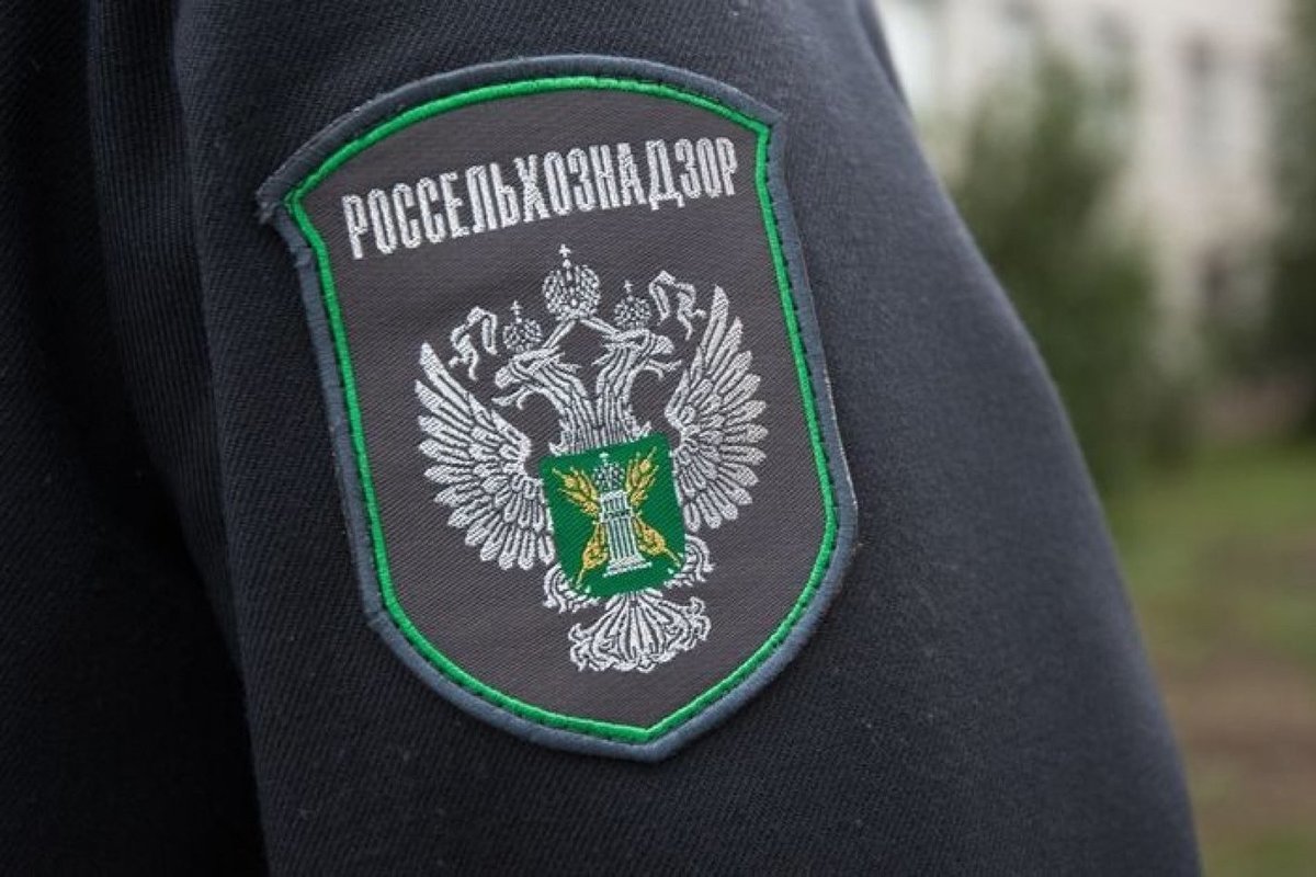 Россельхознадзор не допустил к экспорту семь партий растительной продукции из Крыма, Севастополя, Херсонской и Запорожской областей Специалисты Азово-Черноморского межрегионального управления Россельхознадзора с начала года проверили 318 783 тонны зерновой продукции, предназначенной к вывозу из России. Заявления подали 27 субъектов хозяйствования из Крыма, Севастополя, Запорожской и Херсонской областей. "По результатам исследований в семи партиях были выявлены карантинные для страны назначения объекты. Данные партии не допущены к вывозу", — говорится в сообщении. ПОДПИСАТЬСЯ НА ТАВРИЮ