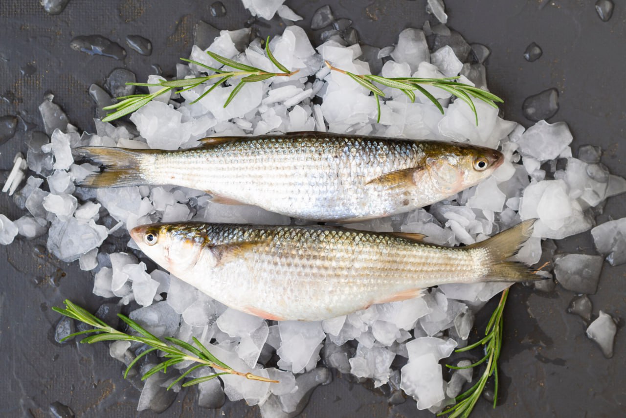 Производство рыбы в Дагестане выросло на 12 в 2025 году Рыбоводческие предприятия Дагестана вырастили 7 4 тысяч тонн рыбы в январе сентябре 2025 года Из них частиковые виды 5 3 тысяч тонн осетровые виды 818 4 тонн форель 1 21 тысяч тонн АПК Подписаться Забустить