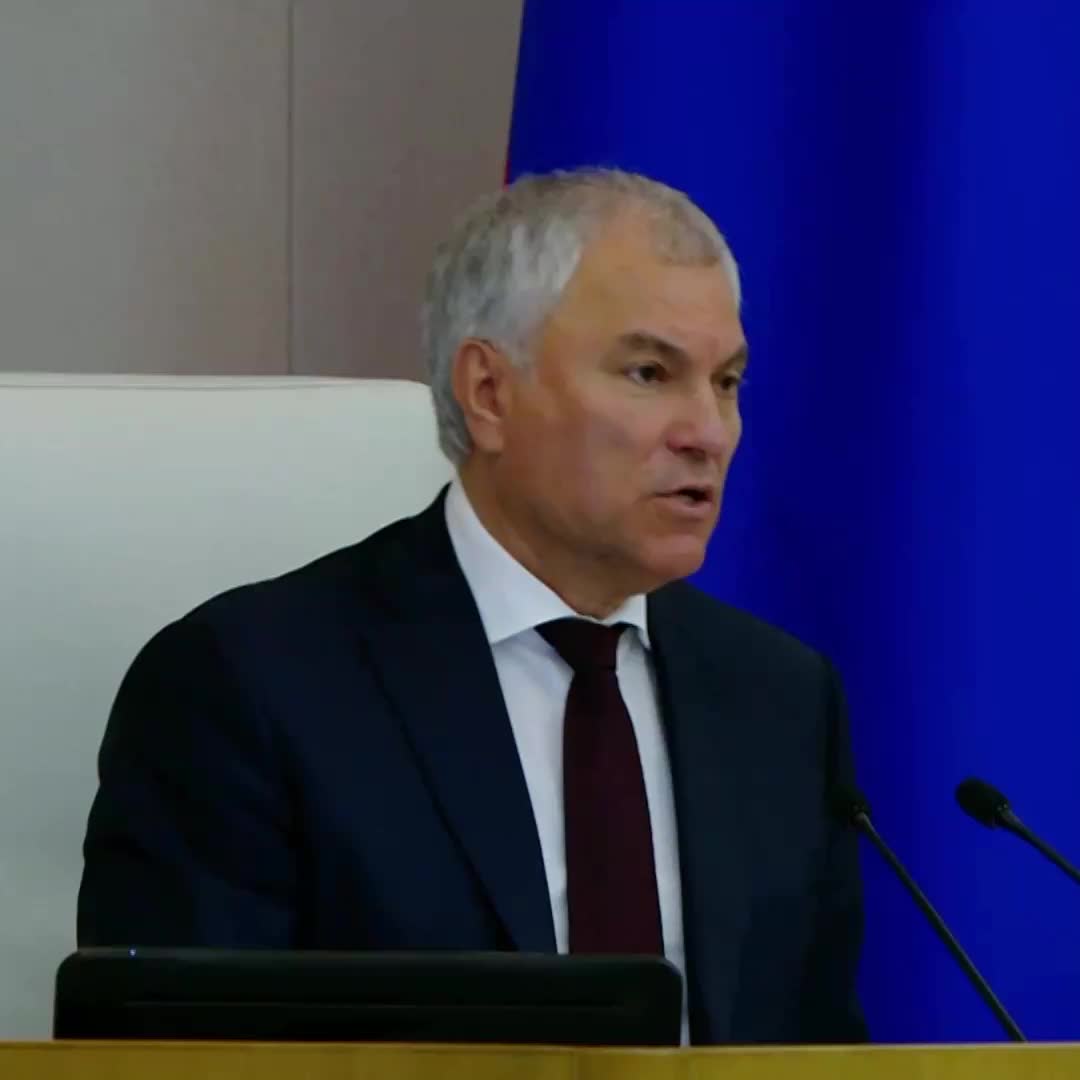 Вячеслав Володин предложил оценку влияния законов на демографию