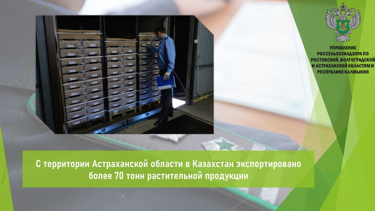 Управлением Россельхознадзора по итогам минувшей недели в Астраханской области проконтролировано 77 т растительной продукции огурцы свежие для дальнейшей отправки в Республику Казахстан. Вся экспортируемая подкарантинная продукция в соответствии с установленными карантинными фитосанитарными требованиями стран-импортеров сопровождалась фитосанитарными документами. Должностными лицами Управления выдано 40 фитосанитарных сертификатов. Открыть полный текст #Ввоз_вывоз_транзит #Карантинный_фитосанитарный_контроль