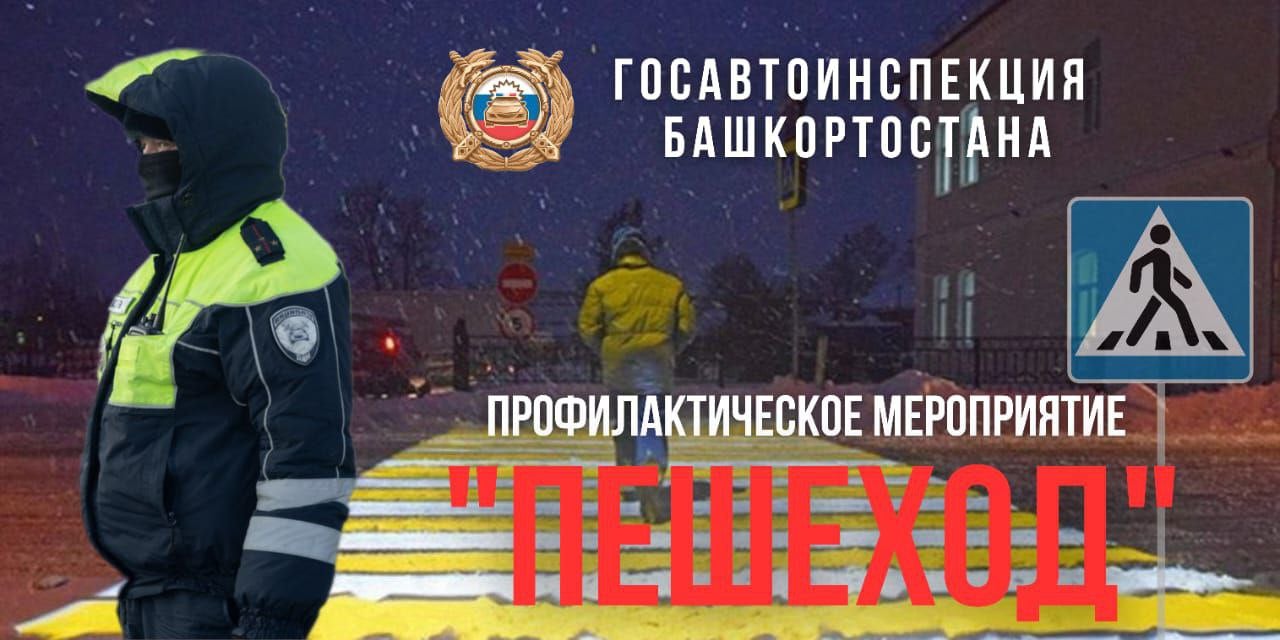 В Башкортостане стартовало профилактическое мероприятие "Пешеход"    Основная цель проводимой операции – профилактика ДТП с участием пешеходов.   В текущем году на территории республики зарегистрировано 87 дорожно-транспортных происшествий, связанных с наездами на пешеходов. В них погибли 9 человек и 82 получили ранения.    В рамках данных мероприятий сотрудники Госавтоинспекции будут пресекать такой вид нарушений ПДД, как непредоставление преимущества в движении пешеходам.  ‍ Также внимание будет уделено пешеходам, которые переходят проезжую часть в неустановленных местах на запрещающий сигнал светофора.  Пристальное внимание будет уделено детям: в школах пройдут занятия и беседы с участием сотрудников Госавтоинспекции.    ‍  Уважаемые пешие участники дорожного движения, просим вас обозначить себя световозвращаюшими элементами на одежде, в первую очередь родителям необходимо позаботиться о своих детях, чтобы они были заметны на дороге - приобретите световозвращающие предметы.    ‍ Отдельно обращаюсь к гражданам, у кого есть родные и близкие преклонного возраста: напоминайте пожилым пешеходам, что переходить проезжую часть нужно только в специально установленных для этого местах на разрешающий сигнал светофора, обязательно убедившись в безопасности перехода.