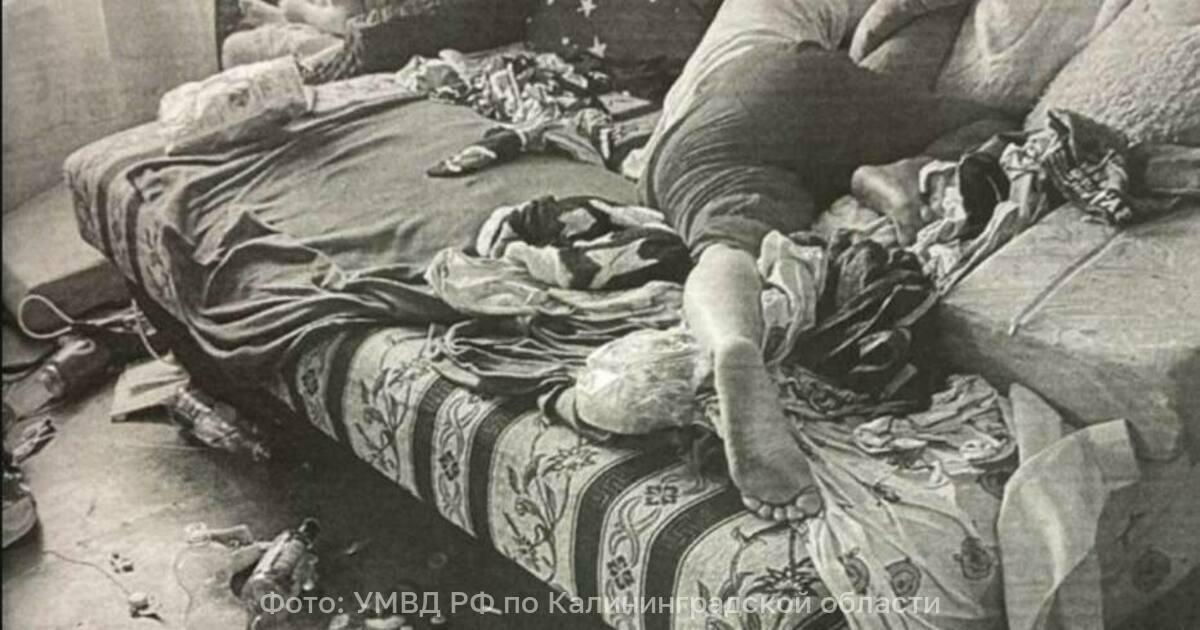 В Советске полиция отобрала детей у пьяной матери В Советске полицейские отобрали детей у матери пьяницы и передали бабушке Об этом в субботу 8 ноября сообщает региональное УМВД РФ Полицейские провели рейд по семьям которые находятся на учёте в инспекции по делам несовершеннолетних В одной из квартир инспектор обнаружил 34 летнюю женщину которая находилась в состоянии сильного алкогольного опьянения В жилище присутствовали её сыновья 6 и 8 лет предоставленные сами себе В квартире было грязно по полу разбросаны упаковки от продуктов стеклянные бутылки мусор и различные вещи Дети принимали пищу сидя на полу В настоящее время жизни и здоровью детей ничего не угрожает они переданы бабушке Полицейские продолжают рейды по выявлению случаев когда дети могут оказаться в неблагоприятных и опасных условиях говорится в сообщении