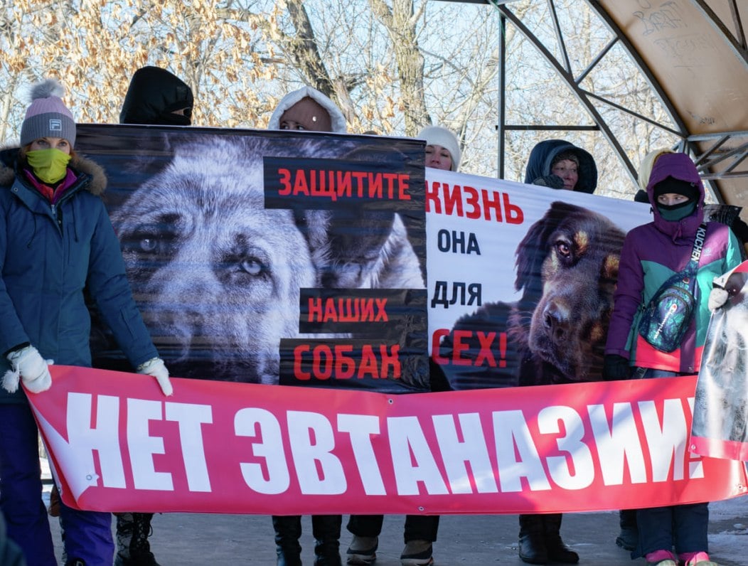 Автопробег против эвтаназии безнадзорных животных проведут в Хабаровске Хабаровчанами была подана заявка на проведение автопробега против принятия поправок. Акция пройдет 15 июня. Количество участников – 100 человек. Кстати, Хабаровск