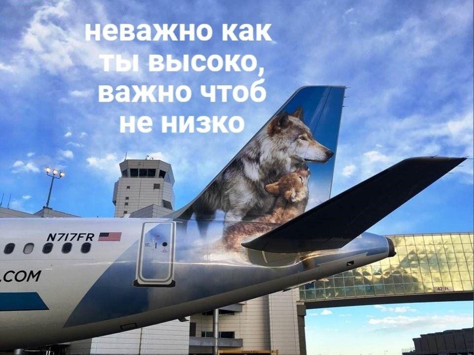 В Ростове открылся визовый центр Португалии В Ростове вновь начал функционировать визовый центр Португалии. Об этом сообщает Telegram-канао «Улететь». Центр расположен на Пушкинской, 46. Он открыт с понедельника по пятницу. Прием заявлений осуществляется с 9:00 до 15:00, а выдача паспортов — с 15:00 до 16:00. Визовые центры Португалии также действуют в Москве, Санкт-Петербурге, Екатеринбурге, Новосибирске, Казани, Самаре и Нижнем Новгороде. А теперь бы хотелось, чтобы и аэропорт заработал!