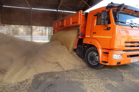 В Амурской области построят экспортоориентированный агротерминал стоимостью 35 3 миллиарда рублей Производственно логистический комплекс по глубокой переработке соевых бобов и рапса создадут в Белогорске Первые средства на на реализацию проекта уже направлены Денежные средства в размере 155 4 миллиона рублей направлены на покупку оборудования для маслоэкстракционного завода Всего ВЭБ РФ предоставит 6 миллиардов рублей льготного финансирования по линии Минвостокразвития России На сегодняшний день проводятся работы монтажу оборудования и строительные работы на площадке пояснил заместитель председателя ВЭБ РФ Артем Довлатов Проект включает создание маслоэкстракционного завода терминала сыпучих грузов объектов железнодорожной и автомобильной инфраструктуры Инициатором выступает ООО Дальний Восток Протеин заемщик ООО Дальагротерминал Плановые сроки ввода в эксплуатацию завода I квартал 2027 года Мощность будущего комплекса переработки составит 3 000 тонн в сутки соевых бобов или 2 000 тонн в сутки семян рапса Общая мощность в год до одного миллиона тонн Как отметили в ВЭБ РФ проект будет способствовать росту экспорта продукции с высокой добавленной стоимостью из высококачественного сырья а также вовлечет все регионы Дальнего Востока в экономический оборот для обеспечения сырьевой базы и стимулирует развитие выращивания сырья В регионе будет создано 550 новых рабочих мест