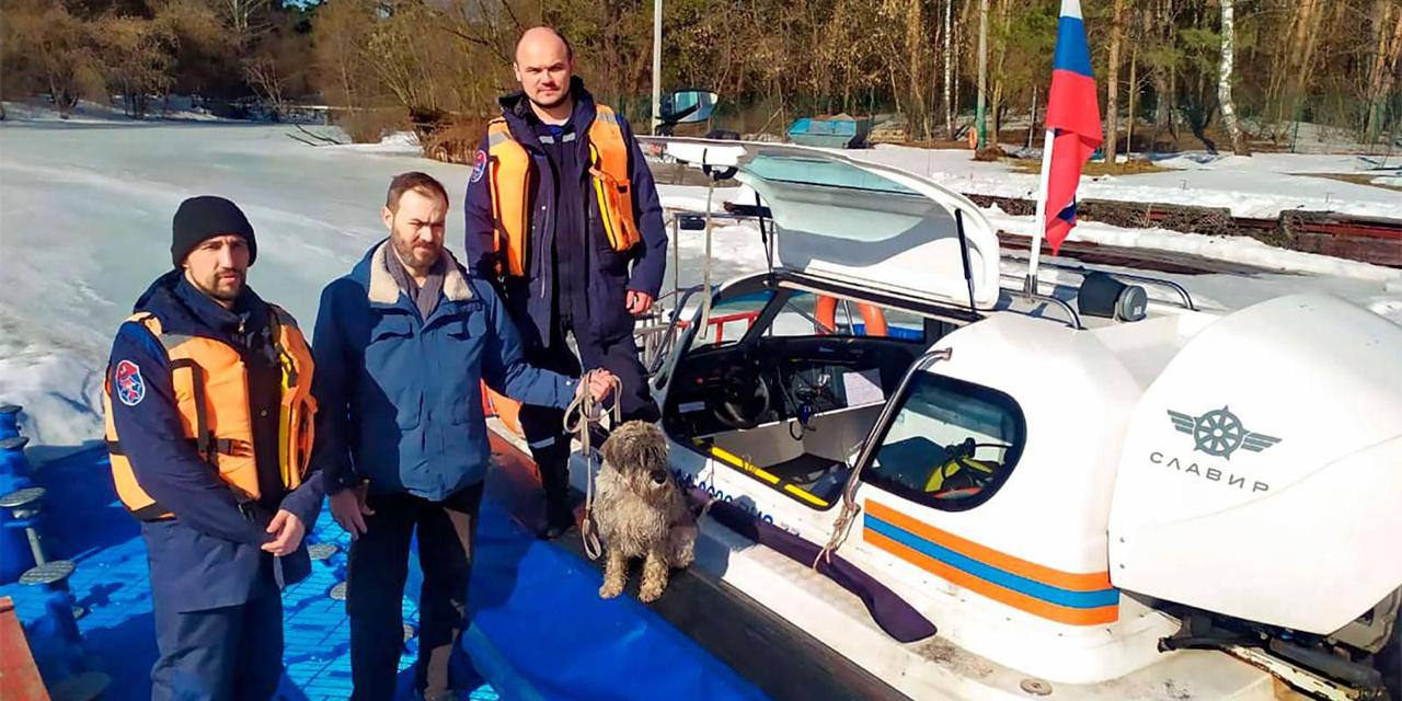 Всемирный день домашних животных отмечается 30 ноября Эта дата напоминает о том как питомцы нуждаются в заботе человека В городе они нередко оказываются в сложных и даже опасных ситуациях и тогда им на помощь приходят спасатели которые оперативно реагируют на обращения и возвращают животных их хозяевам О таких счастливых историях читайте в нашем материале