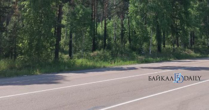 В Кабанском районе Бурятии прогнали в лес медведя-попрошайку. Он «дежурил» на трассе в Кабанском районе. Косолапый быстро смекнул: показал милую мордочку - получил вкусняшку. И автомобилисты его подкармливали, хотя делать это категорически запрещено. «Организованы оперативные мероприятия - медведя отпугнули, он ушёл в лес», - сообщил государственный инспектор Иван Баженов