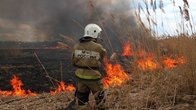 Завтра в северо-восточных и юго-восточных районах ДНР ожидается чрезвычайная пожароопасность 5 класс Подписаться