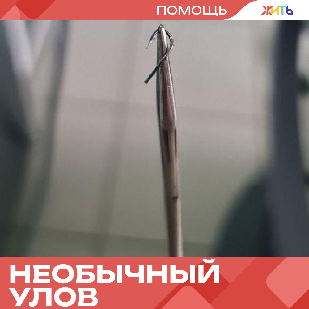 Врачи помогли 11-летнему рыбаку в необычной ситуации  В Пушкинскую больницу доставили 11-летнего мальчика с рыболовным крючком… в носу. Во время рыбалки он случайно зацепил сам себя и крючок пробил крыло носа.  Врачи быстро сориентировались: аккуратно провели жало насквозь, обработали рану и удалили инородный предмет. Операция прошла успешно, всё сделали без осложнений.  По словам заведующего отделением, такой случай в его практике  впервые. Сейчас юный рыбак чувствует себя хорошо и уже строит планы на следующую рыбалку.    — настоящие профессионалы     Самый добрый проект страны