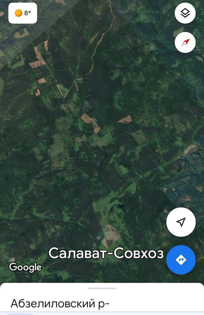 Защитники хребта Кырктытау в Башкортостане обнародовали аэрокосмические снимки уничтоженных деревьев, которые пострадали от геологической разведки. «Это просто ужас! Скорее всего, сотрудники "Русской медной компании" понимая, что они в любом случае заберут Кырктытау, уже сразу начали сплошную рубку леса освобождая место под горно-обогатительный комбинат», — с прискорбием отметили активисты.