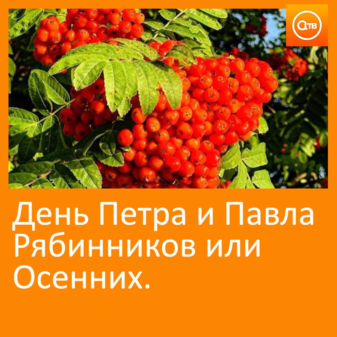 23 сентября в народном календаре это день Петра и Павла Рябинников или Осенних В древности в этот день отмечали именины рябины Ее собирали ели и обязательно кисть нового урожая вешали над входом в жилище Считалось что рябина может защитить от нечистой силы зла и зависти Была примета связанная с ягодами Девушки собирали из ягод бусы и носили их Если нитка рвалась скоро придет суженый а по тому куда разлетались ягоды смотрели откуда идут сваты
