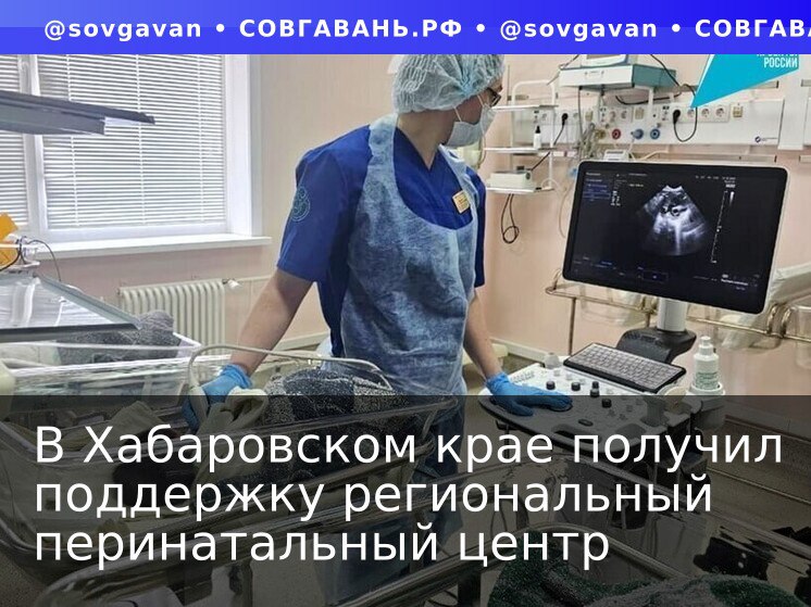 В рамках национального проекта Семья Хабаровский краевой Перинатальный центр получил 250 миллионов рублей на обновление медицинского оборудования В Перинатальном центре появились современные аппараты включая электроэнцефалограф стоимостью около 1 5 миллиона рублей и два новых УЗИ аппарата для исследований новорожденных Это важно для проведения высокотехнологичных исследований и выхаживания недоношенных малышей В 2025 году в крае родилось 3706 малышей из них 283 благодаря процедуре ЭКО которая осуществляется за счет средств ОМС Ежегодно в клинике принимают более 4 тысяч родов и врачи используют до 14 приборов одновременно для обеспечения их жизни и здоровья СОВГАВАНЬ РФ   t me sovgavan Написать нам или прислать новость   t me SovgavanBot