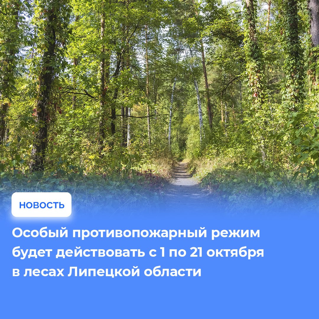 Особый противопожарный режим установлен в лесах Липецкой области с 1 по 21 октября. Также ограничено их посещение – лесные дороги перекрываются шлагбаумами.   В этот период увеличивается количество рейдов для выявления нарушителей правил пожарной безопасности.   При особом противопожарном режиме в лесах нельзя:   Разводить огонь   Использовать мангалы и похожие приспособления   Жечь траву, хворост, лесную подстилку  Нарушителям – штрафы:  Физлица –  от 40 до 50 тыс. р.  Должностные лица – от 60 до 90 тыс. р.  Юридические лица – от 600 тыс. р. до 1 млн рублей.  О возгорании в лесу сообщайте по номеру  8-800-100-94-00.