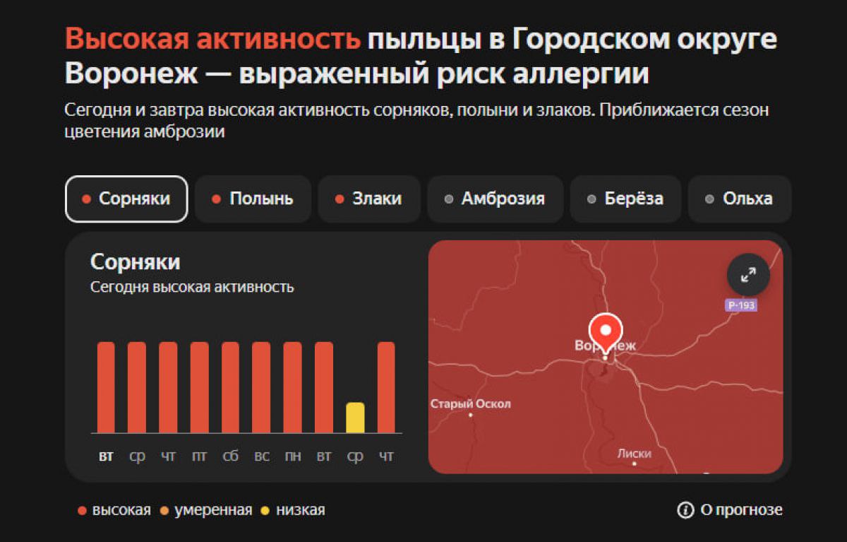 Воронежских аллергиков предупредили о высокой активности пыльцы сорняков, полыни и злаков в регионе Сегодня и в течение всей недели в Воронежской области ожидается высокая активность сорняков, полыни и злаков. Также приближается сезон цветения амброзии, он начнется в субботу, 12 июля. ↗ Прислать новость Подписаться