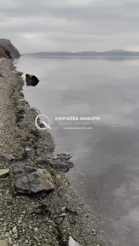 Минприроды Камчатки реагирует на нефтяное загрязнение Авачинской бухты
