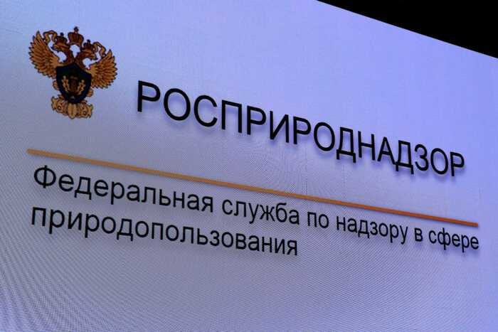 Мэрия Салехарда под мусорным ковром: свалки у Оби и безнаказанность чиновников Скандал с нелегальными свалками у паромной переправы на реке Обь в Салехарде вскрыл вопиющую халатность местных властей. Северо-Уральское межрегиональное управление Росприроднадзора обнаружило сразу три незаконные свалки прямо на берегу реки — месте, где безопасность и экология должны быть под особым контролем. Вместо этого – груды отходов полиэтилена, стеклянной, пластиковой и металлической тары, лом металлов и даже автомобильные шины, оставленные без всякого внимания. Это не просто мусор — это реальная угроза загрязнения земли и водоемов, с которыми борются тысячи жителей и экологи. Однако мэрия, которая обязана следить за порядком и экологией, не только не ликвидировала свалки, но и получила всего лишь «предостережение» от Росприроднадзора — формальный документ без реальных последствий. Очевидно, что штрафы и административная ответственность для городских чиновников пока остаются пустой угрозой. Пока мэрия демонстрирует полное безразличие к состоянию окружающей среды и здоровью горожан, на берегах Оби продолжают расти незаконные свалки. Этот позор должен стать сигналом для жителей Салехарда: власти либо некомпетентны, либо сознательно закрывают глаза на экологические преступления ради собственной выгоды или бездействия. При этом ни слова о реальных мерах по устранению проблемы, ни намека на борьбу с нарушителями. Салехард превращается в город с экологическим лихим фронтом, где чиновники играют в прятки с мусором, а жители рискуют своим здоровьем. Время требовать прозрачности и жестких мер — иначе свалки у паромной переправы станут лишь первым звоночком в цепи экологических катастроф, которую мэрия предпочитает игнорировать. Источник: Тайны Кремля