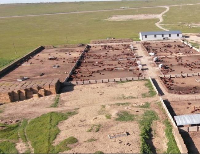 В Ростовской области дроны поймали две фермы на нарушениях Специалисты Россельхознадзора приступили к аэрообследованию животноводческих хозяйств в Ростовской области с помощью беспилотников В частности дроны были задействованы в Тацинском районе где они эффективно сканируют периметры ферм и обнаруживают нарушения малозаметные при обычных проверках В ходе инспекции двух ферм принадлежащих индивидуальным предпринимателям были выявлены многочисленные недочёты Среди них неисправные ограждения не препятствующие проникновению на территорию посторонних людей и диких животных Также инспекторы зафиксировали отсутствие дезинфекционных барьеров на въезде и выезде и ненадлежащие условия для хранения и обеззараживания навоза что представляет угрозу санитарной безопасности Подпишись на 1Rnd в МАХ Написать в редакцию