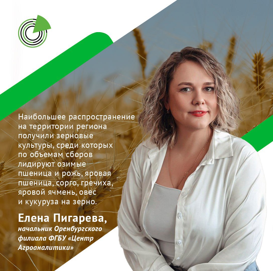 Подготовили комментарий для статьи про обзор АПК Оренбургской области в 11 м номере журнала Агроинвестор Благодаря природно климатическим особенностям в регионе наибольшие в РФ площади под твердую пшеницу свыше 400 тыс га отмечает начальник оренбургского филиала Центра Агроаналитики Елена Пигарева со ссылкой на данные регионального минсельхоза В 2024 году из Оренбургской области было вывезено отгружено в другие регионы более 1 5 млн т продовольственного и фуражного зерна подсолнечника В основном зерно поставлялось в республики Татарстан Башкортостан Крым Саратовскую Челябинскую Самарскую Ленинградскую Ростовскую области Алтайский Краснодарский края В Оренбургской области насчитывается более 30 предприятий по производству муки Их мощности превышают 545 тыс т Выпуск круп в Оренбургской области осуществляют 9 предприятий их годовая мощность более 40 тыс т Кроме того в области имеется крупное предприятие по изготовлению макаронных изделий Подробнее clck ru 3QPt36