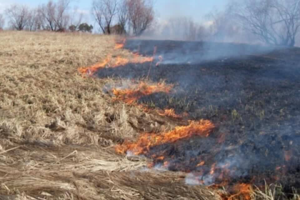 В Кыринском, Акшинском, Дудьдургинском и Ононском районах ведутся профилактические отжиги.   «Контролируемые профилактические выжигания сухой растительности проводят сотрудники «Забайкаллесхоз». Это делается для создания защитных полос, которые служат барьером для распространения огня», - сообщил министр природных ресурсов Павел Волжин.