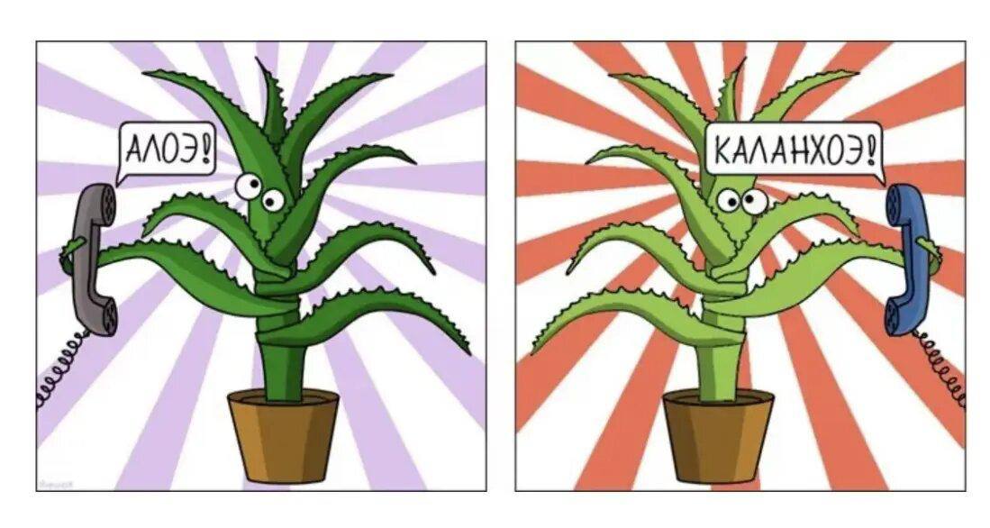 Дайте трафика Россияне стали больше звонить по телефону после блокировки звонков в мессенджерах в Москве рост трафика составил более 50 Где ещё чаще всего звонят     kod ru vyros golosovoi trafik