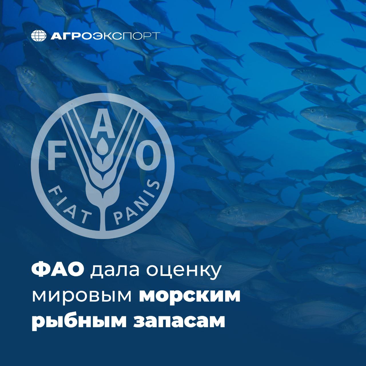 ФАО дала оценку мировым морским рыбным запасам ФАО опубликовала доклад по результатам самой подробной на сегодняшний день оценки мировых морских рыбных запасов. Согласно документу, представленному в ходе Конференции ООН по океану, биологически устойчивыми признаны 2570 видов рыбы, что представляет собой существенный рост по сравнению с данными, приведенными в предыдущем издании доклада. Согласно оценке ФАО, 64,5% всех рыбных запасов эксплуатируются на уровне, обеспечивающем их биологическую устойчивость, тогда как 35,5% запасов считаются подвергающимися перелову. В пересчете на объемы производства 77,2% вылова во всем мире приходится на долю запасов, эксплуатируемых на уровне, обеспечивающем биологическую устойчивость. Несмотря на то, что почти две трети морских рыбных запасов эксплуатируется на уровне, обеспечивающем биологическую устойчивость, показатели перелова в последние годы неуклонно растут, повышаясь в среднем примерно на 1% ежегодно. ФАО #агроэкспорт #новостиАПК
