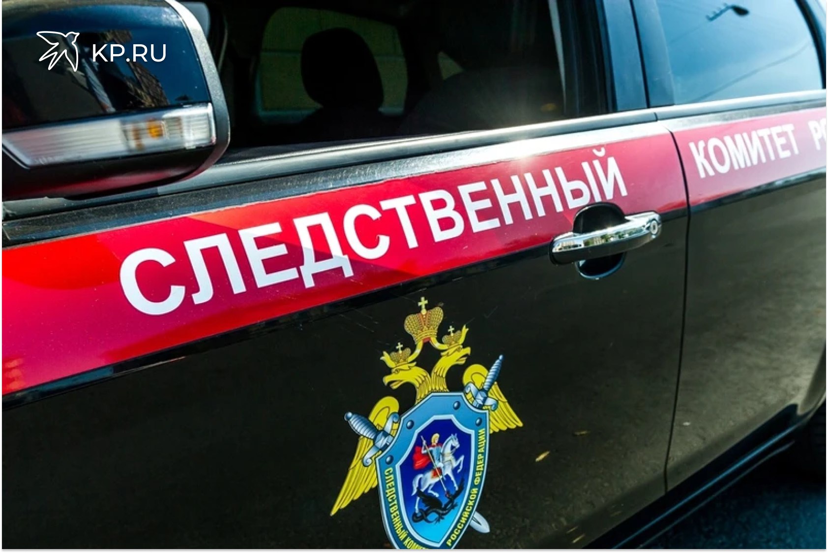 В Воронеже нападение собак на ребенка и девушку привело к уголовному делу Воронежские следователи завели дело о халатности после того как псы покусали несколько человек Воронежские следователи возбудили уголовное дело по факту нападения безнадзорных собак на девушку и ребенка в Центральном районе Как ранее писал сайт VRN KP RU на днях на улице 25 Октября бездомные псы покусали девушку а ранее в том же месте напали на ребенка Местные жители считают что причиной скопления уличных собак в этом месте стала плохо убираемая мусорка К проверке уже подключилась прокуратура Возбуждено уголовное дело из за халатности Следователи выясняют все обстоятельства произошедшего В рамках расследования уголовного дела будет дана правовая оценка бездействию уполномоченных органов ответственных за организацию работы по отлову и содержанию бродячих собак сообщили в следственном управлении СК России по Воронежской области Председатель СК Александр Бастрыкин ждет от воронежских коллег доклад о ходе расследования уголовного дела