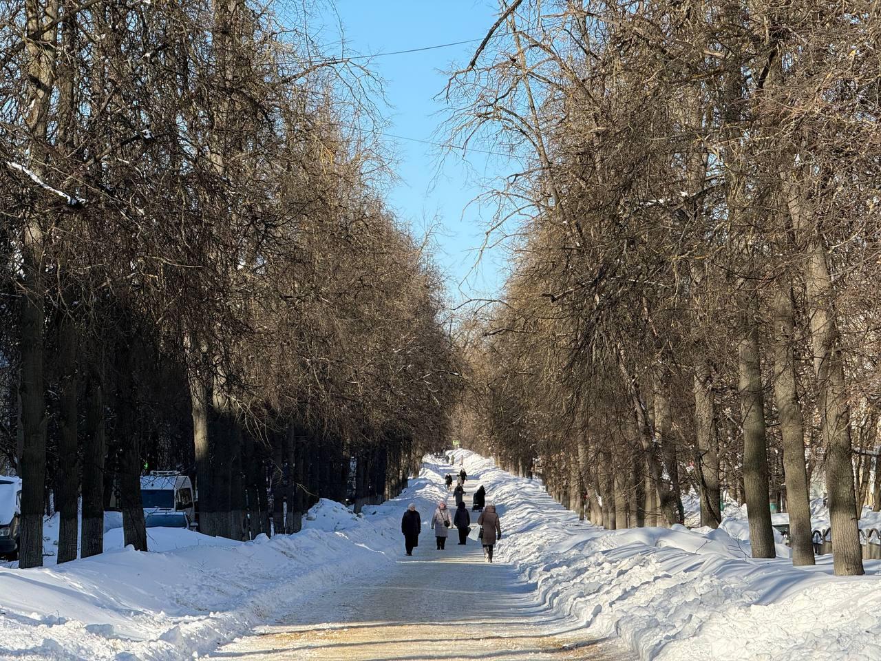 Больные деревья срубят на улице Чичерина в Калуге Проект благоустройства бульвара победил во Всероссийском голосовании Работы пройдут в 2026 году по нацпроекту Инфраструктура для жизни и уже сейчас пора очистить улицу от аварийных и больных деревьев сказал мэр Дмитрий Денисов Как отметил градоначальник специалисты внимательно исследовали каждое дерево Здоровые и живые насаждения останутся на местах а аварийные и больные деревья удалят Кроме этого проведут бережную санитарную обрезку Наш канал в MAX Прислать новость