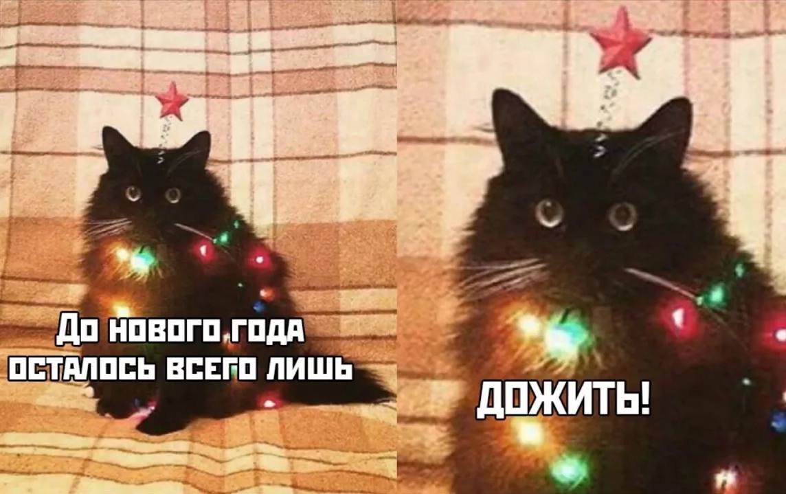 Мы к вам с хорошими новостями В конце декабря придется работать всего два дня из за новогодних каникул Рабочими станут лишь понедельник и вторник 29 и 30 декабря А с 31 декабря начнутся праздничные выходные которые продлятся до 11 января включительно Совсем скоро можно будет спать до упора есть салаты на завтрак обед и и ужин смотреть фильмы которые все уже много раз видели Вы уже в предвкушении Написать в редакцию можно здесь gorod55ru