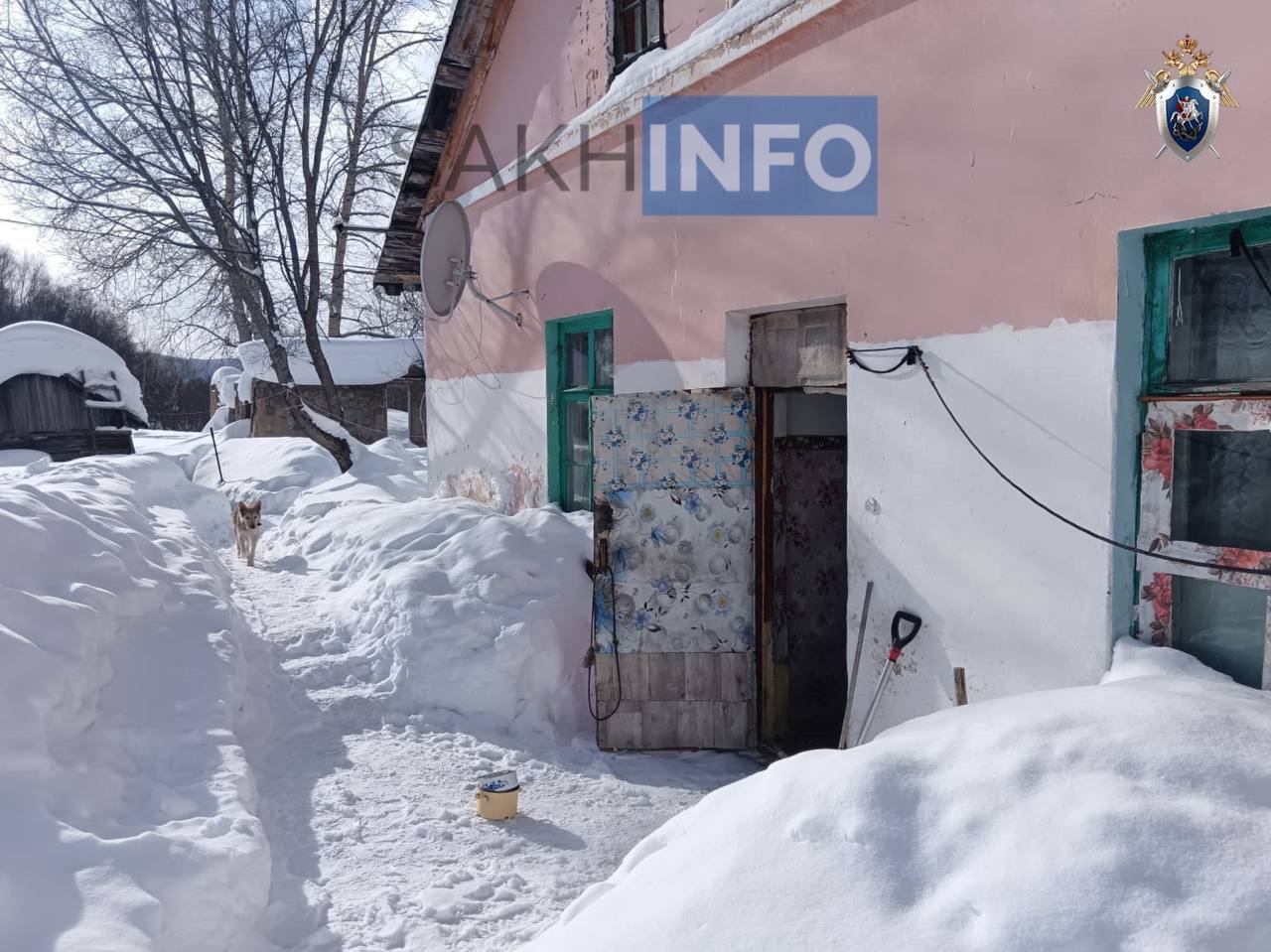 Жительница Холмского района обвиняется в причинении смерти по неосторожности и в заведомом оставлении без помощи лица, находящегося в опасном для жизни или здоровья состоянии. Как стало известно «Сахалин Инфо», в феврале 2025 года обвиняемая отпустила своих двух собак без намордников на самовыгул. Собаки напали на потерпевшую, причинив ей тяжкий вред здоровью по признаку опасности для жизни человека. После произошедшего, обвиняемая переместила потерпевшую в свой дом, но осознавая беспомощное состояние потерпевшей, оставила её в опасном для жизни состоянии и не вызвала скорую медицинскую помощь. Потерпевшая впоследствии скончалась. Уголовное дело направлено в Холмский городской суд для рассмотрения по существу. Обвиняемой за совершение преступлений грозит наказание до 2-х лет лишения свободы.