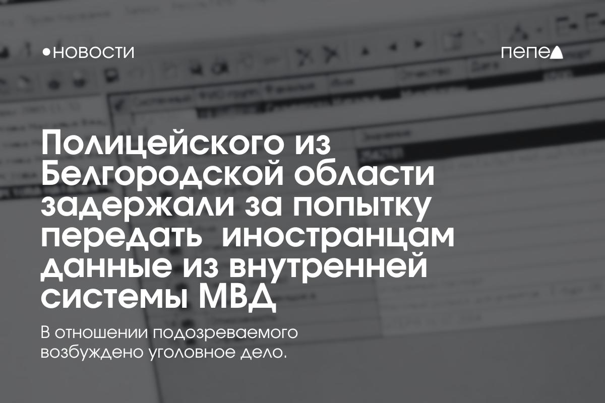 В Белгородской области задержали полицейского, которого подозревают в попытке передать данные из внутренней системы МВД иностранцам. Как пишет Go31, в ФСБ считают, что полицейский собирался передать сведения из ведомственной базы данных МВД России иностранным гражданам. О каких именно данных и иностранцах идёт речь — в публикации не уточняется. Против подозреваемого возбуждено уголовное дело, он был уволен из МВД. Подписаться на «Пепел»