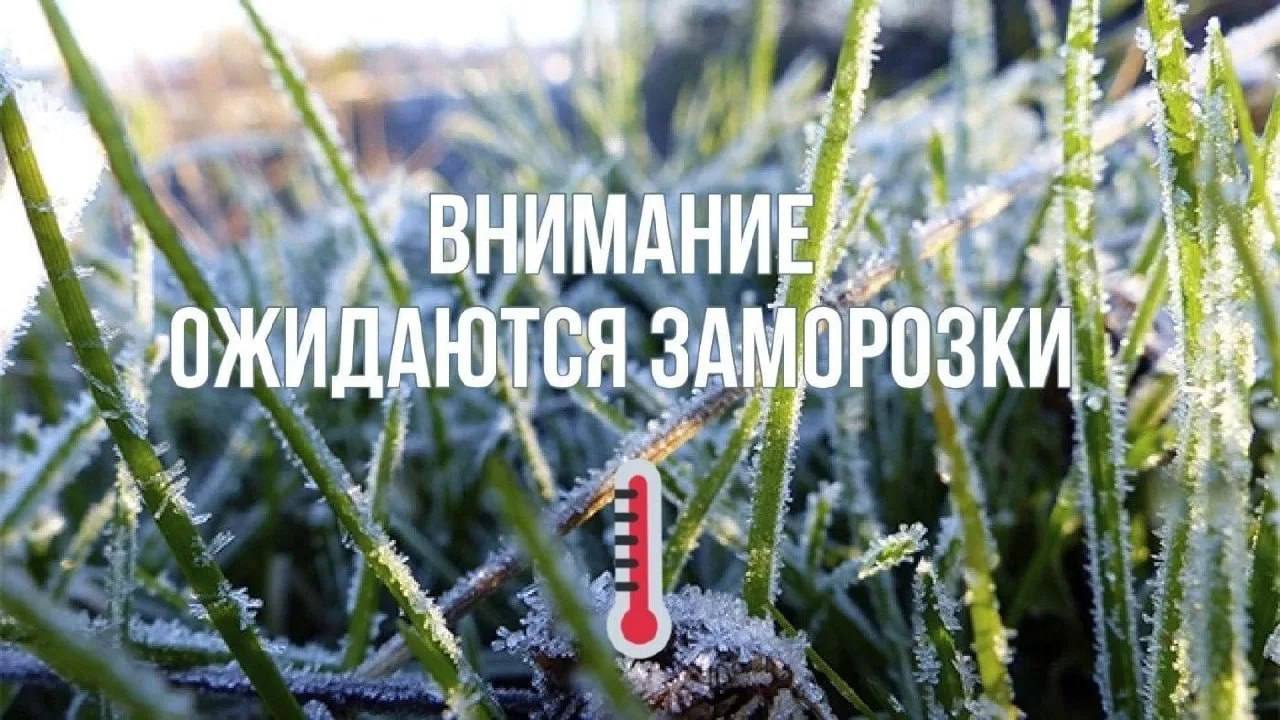 В Ульяновской области прогнозируются ночные заморозки Ночью и утром 13 15 сентября жителям стоит подготовиться к похолоданию По данным синоптиков температура воздуха может опуститься до 2 C