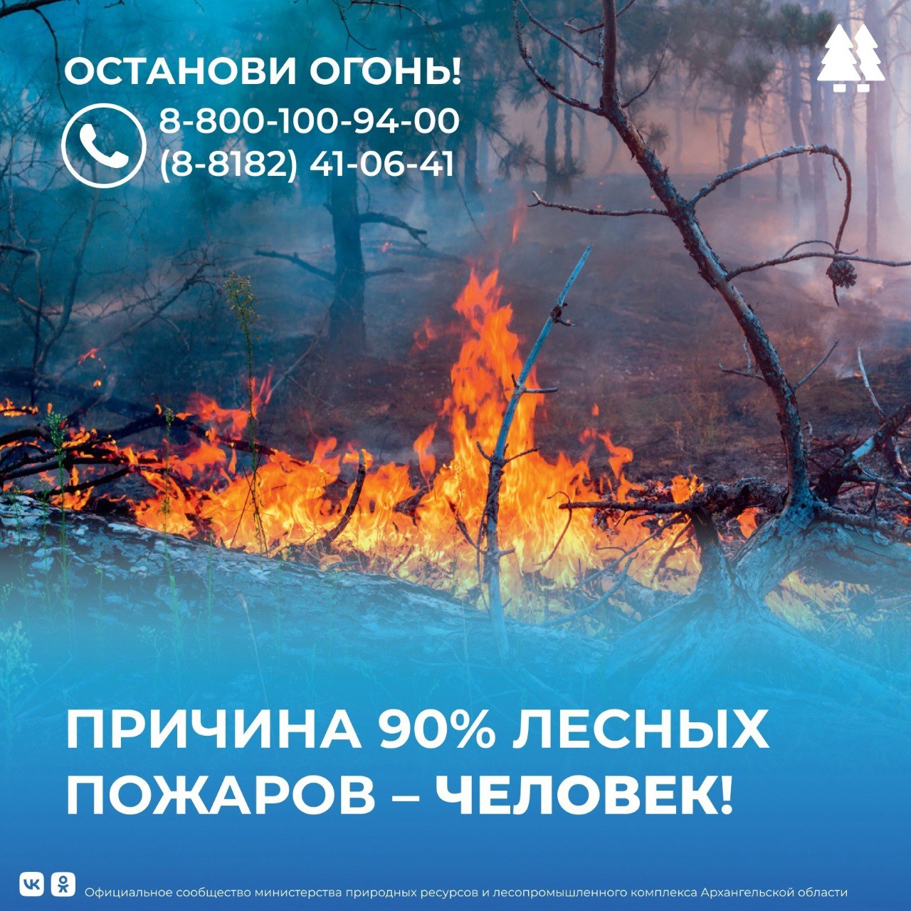 С 1 мая на территории Архангельской области объявлен пожароопасный сезон ‼ В этот период в лесу категорически ЗАПРЕЩАЕТСЯ: бросать на землю непотушенные окурки и спички; сжигать мусор; разводить костёр; применять во время охоты пыжи из тлеющего материала; оставлять мусор, особенно стекло и пропитанный горючей жидкостью обтирочный материал. При обнаружении пожара в лесу необходимо немедленно сообщить о возгорании по телефонам лесной охраны: 8-800-100-9400, 8-8182 41-06-41.