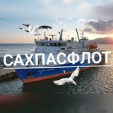 Аватар Телеграм канала: САХПАСФЛОТ⚓ Морские линии.